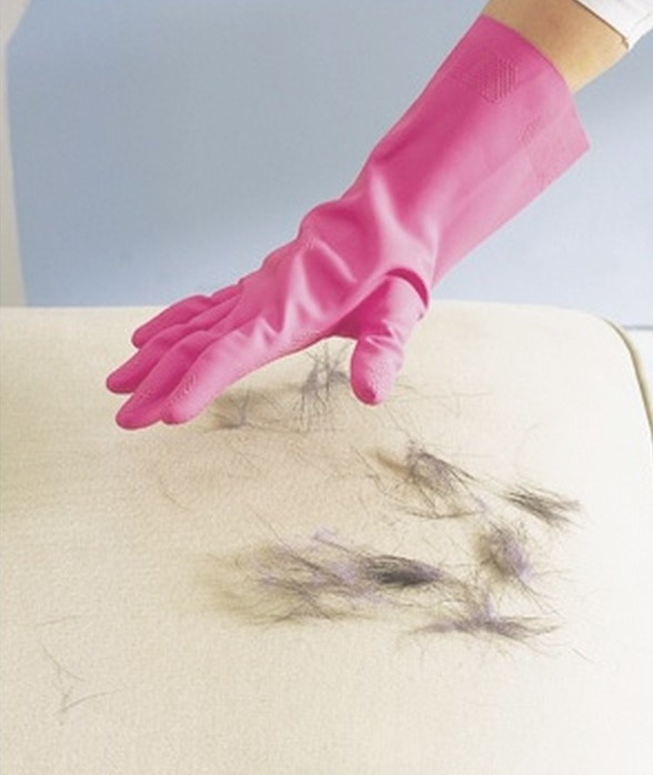How to remove pet hair from upholstery How to remove pet hair from upholstery